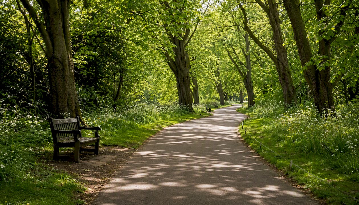 Cycling path under trees in Regent's Park